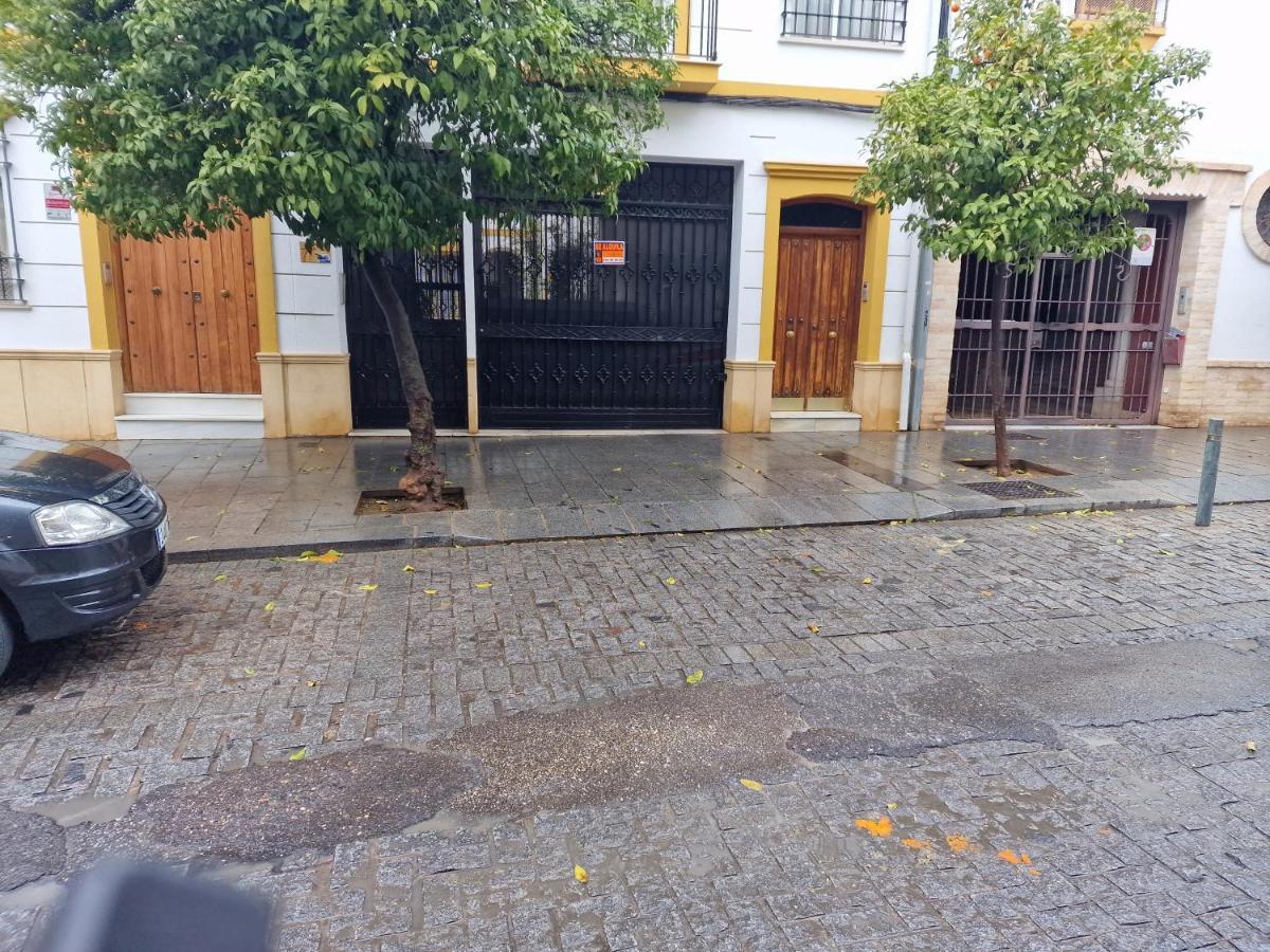 Apartament Ds Cuesta Del Bailio, Parking Opcional Kordoba Zewnętrze zdjęcie
